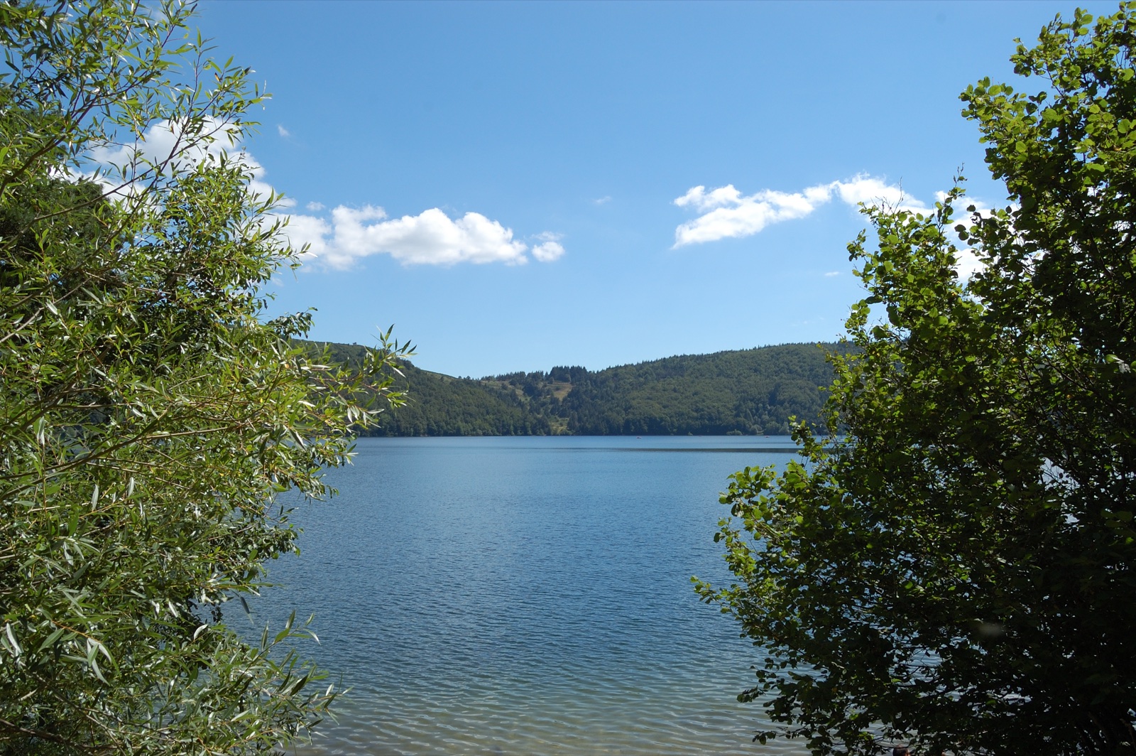 Le lac d’Issarlès entouré de collines boisées
